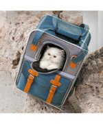 Transporter dla kota psa PLECAK KOJEC wentylacja torba podróżna siatka