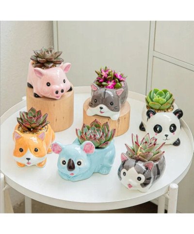 DONICZKA MINI MAŁA NA SUKULENTY LIS NA KAKTUSY