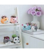 DONICZKA MINI MAŁA NA SUKULENTY LIS NA KAKTUSY