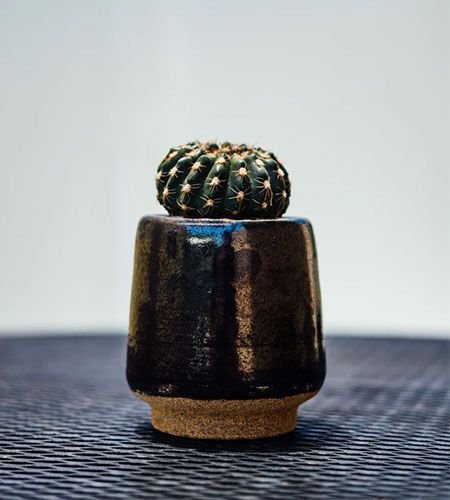 Are you ready to choose your designer lamps online